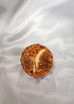 KURUTULMUŞ PORTAKALLI  GAGA TAŞI 